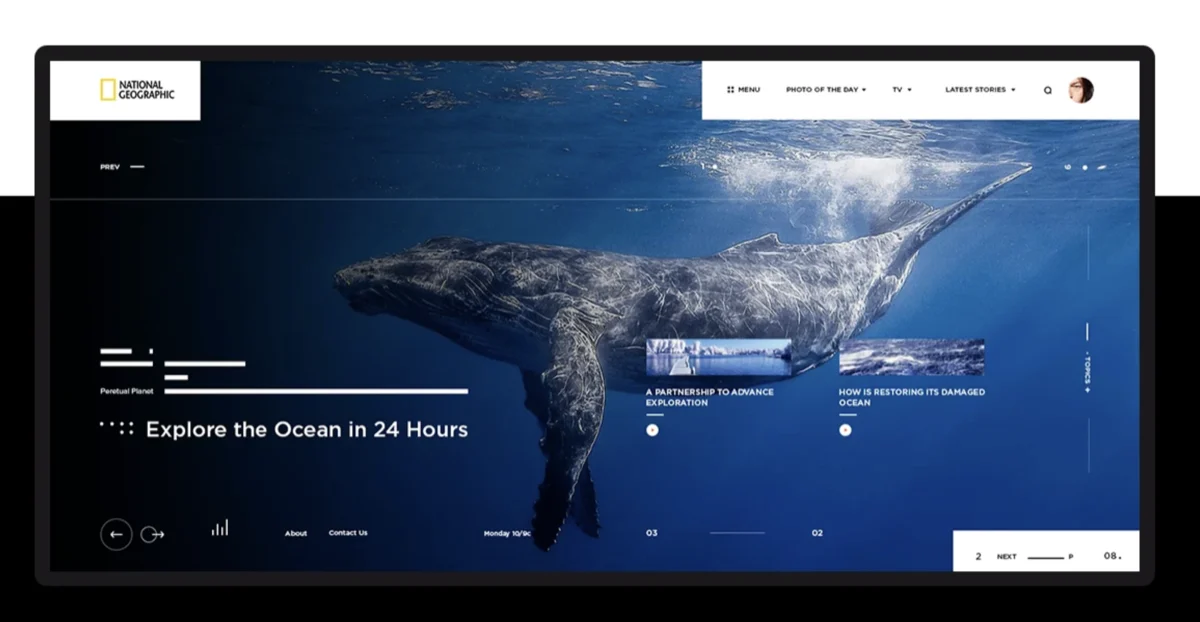 National Geographic - Media platform