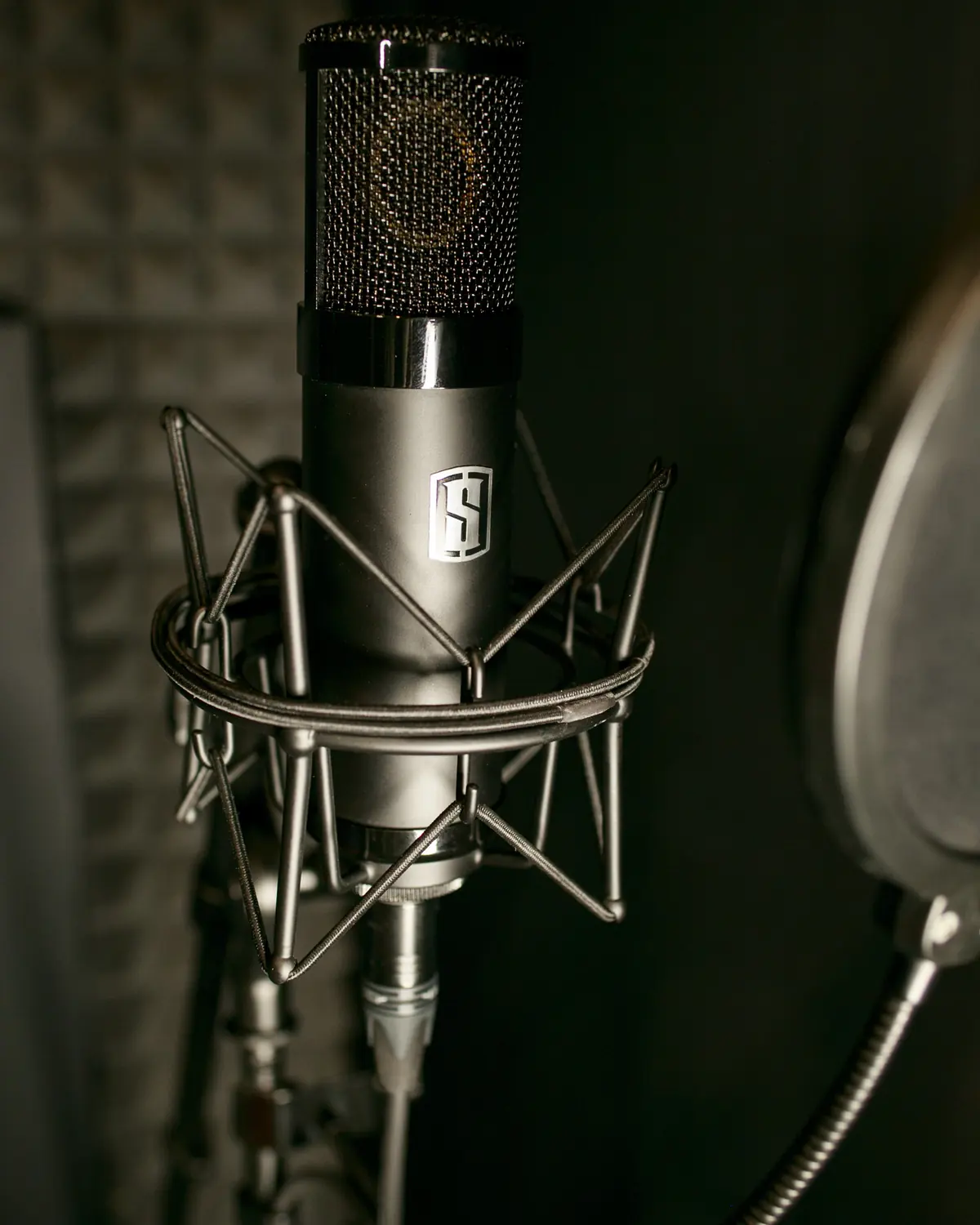 Studio microphone